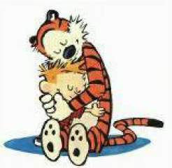 calvin and hobbes